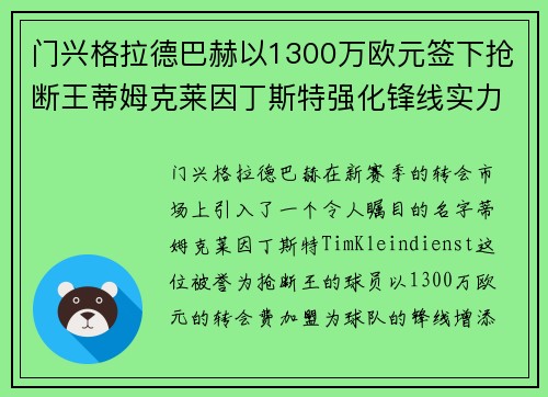 门兴格拉德巴赫以1300万欧元签下抢断王蒂姆克莱因丁斯特强化锋线实力