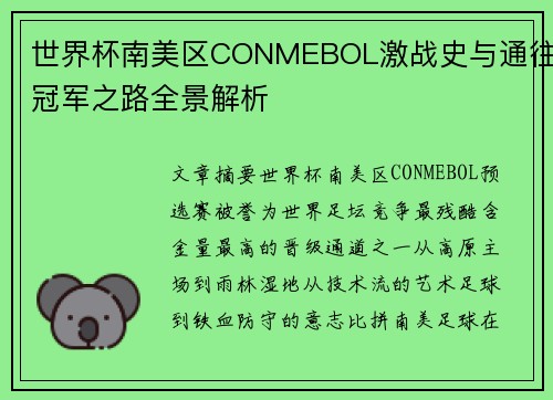 世界杯南美区CONMEBOL激战史与通往冠军之路全景解析