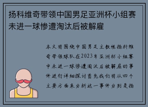 扬科维奇带领中国男足亚洲杯小组赛未进一球惨遭淘汰后被解雇